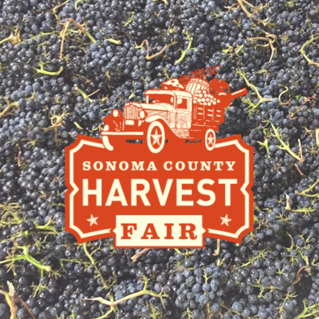 Happy Sonoma County Harvest Fair Gracianna Winery