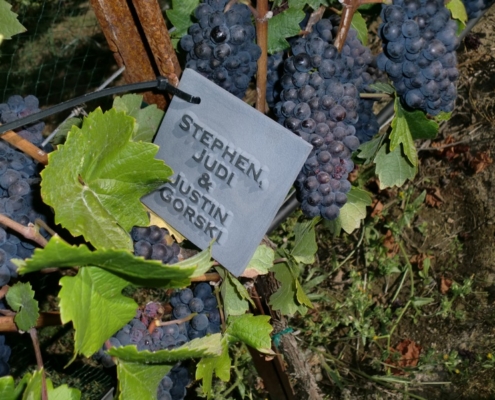 StephenGorski